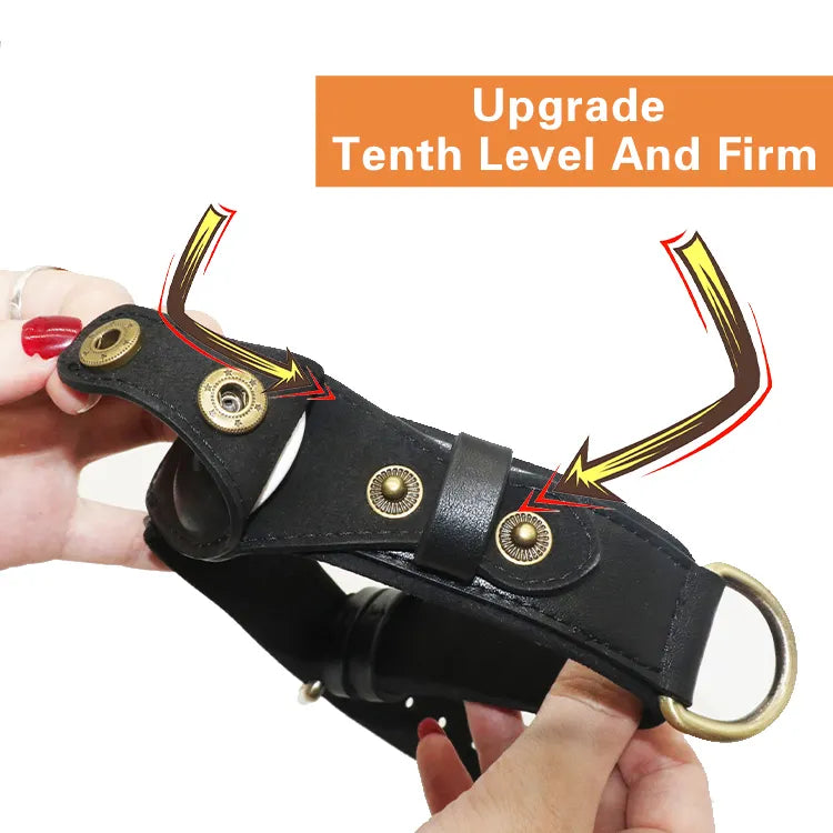 Leather Airtag Tracking Dog Collars